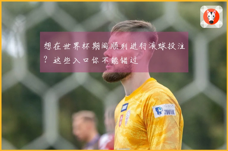想在世界杯期间顺利进行滚球投注？这些入口你不能错过