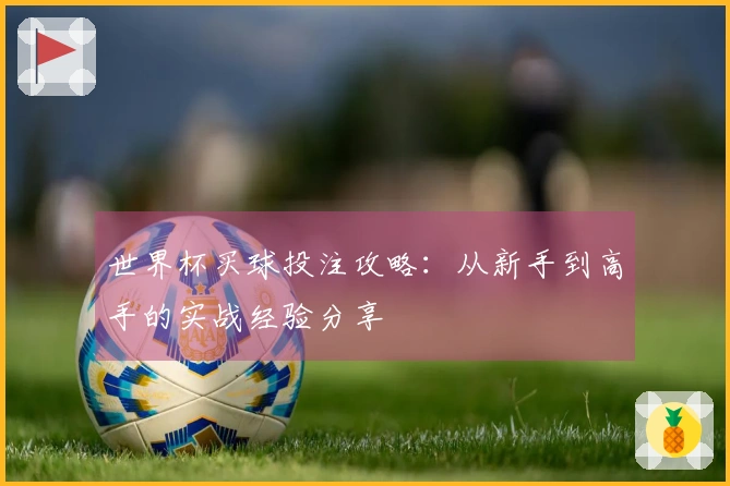 世界杯买球投注攻略：从新手到高手的实战经验分享