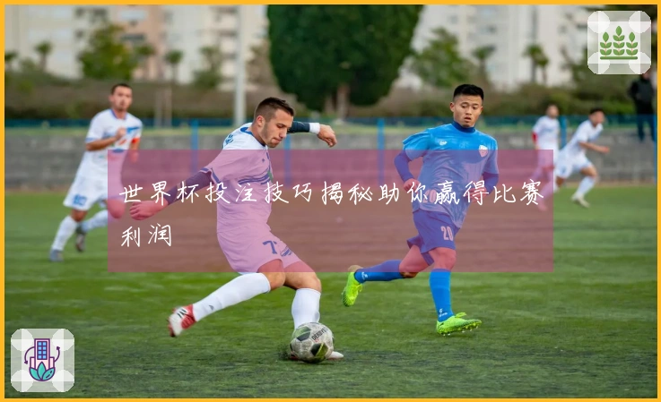 世界杯投注技巧揭秘助你赢得比赛利润