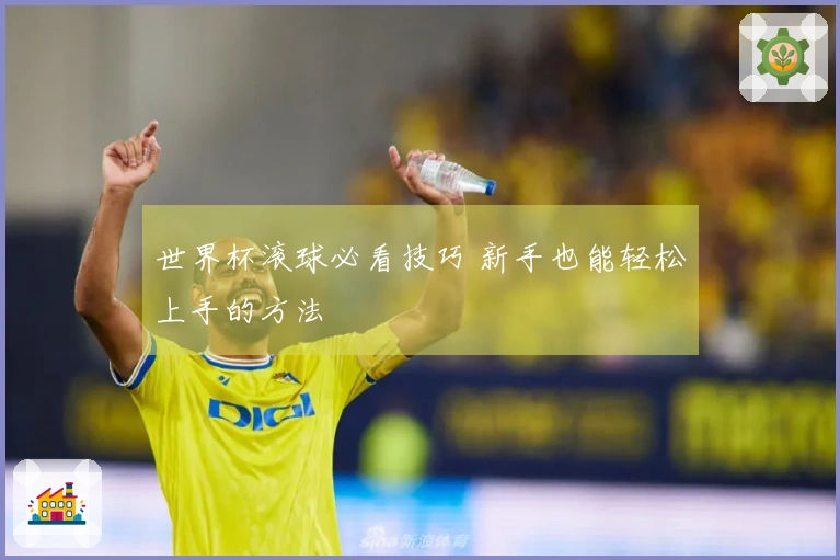 世界杯滚球必看技巧 新手也能轻松上手的方法
