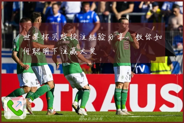 世界杯买球投注经验分享，教你如何聪明下注赢大奖