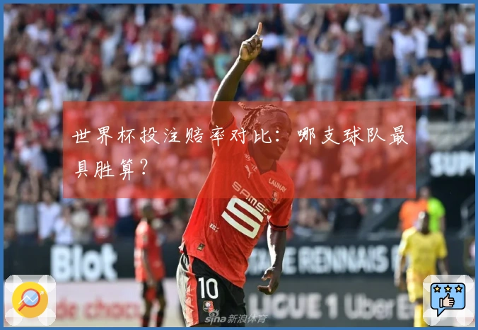 世界杯投注赔率对比：哪支球队最具胜算？