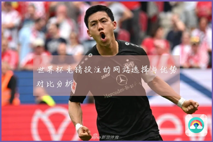 世界杯竞猜投注的网站选择与优势对比分析